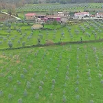 Farm stay Casa De Vilar Do Dao Penalva do Castelo