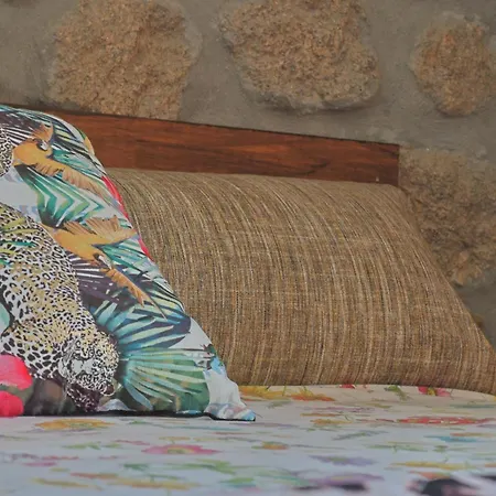 Casa De Vilar Do Dao *