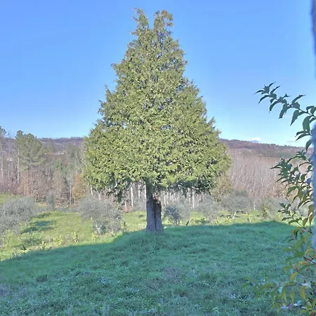 Κατάλυμα σε φάρμα Casa De Vilar Do Dao *