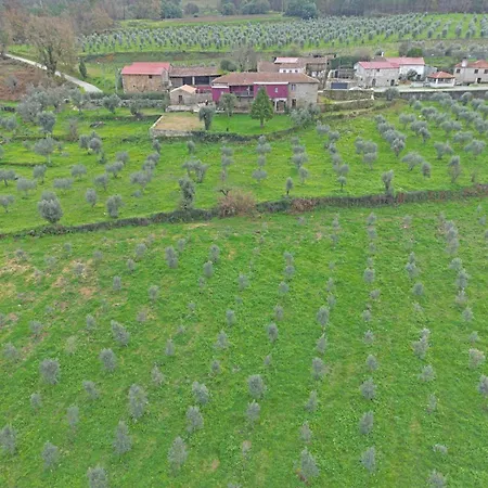 Κατάλυμα σε φάρμα Casa De Vilar Do Dao Penalva do Castelo
