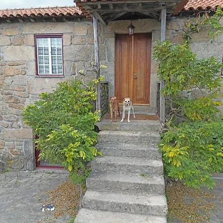 Фермерский дом Casa De Vilar Do Dao