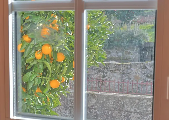 ファームステイ Casa De Vilar Do Dao ペナルヴァ・ド・カステロ