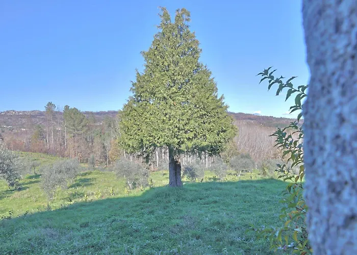 ファームステイ Casa De Vilar Do Dao *